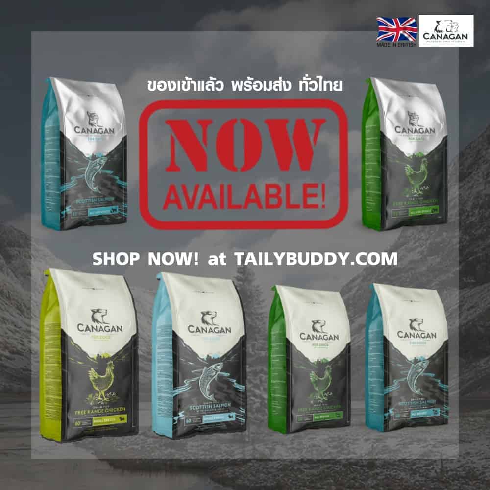 Tailybuddy Pet Shop 2