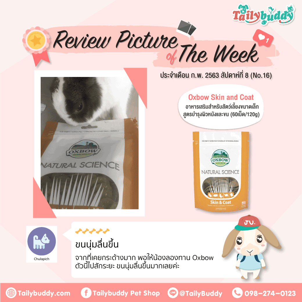 Tailybuddy Pet Shop 3