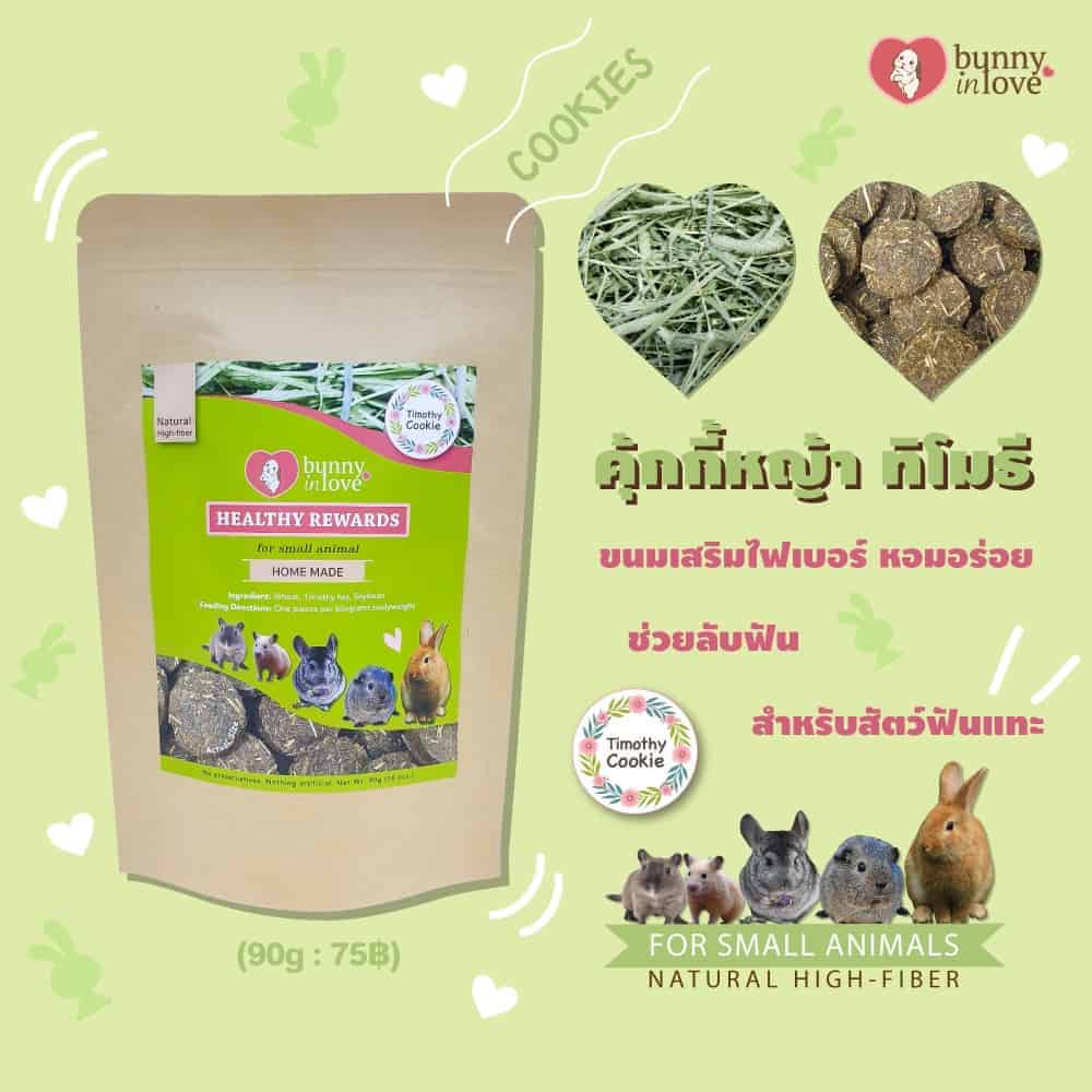 Tailybuddy Pet Shop 4