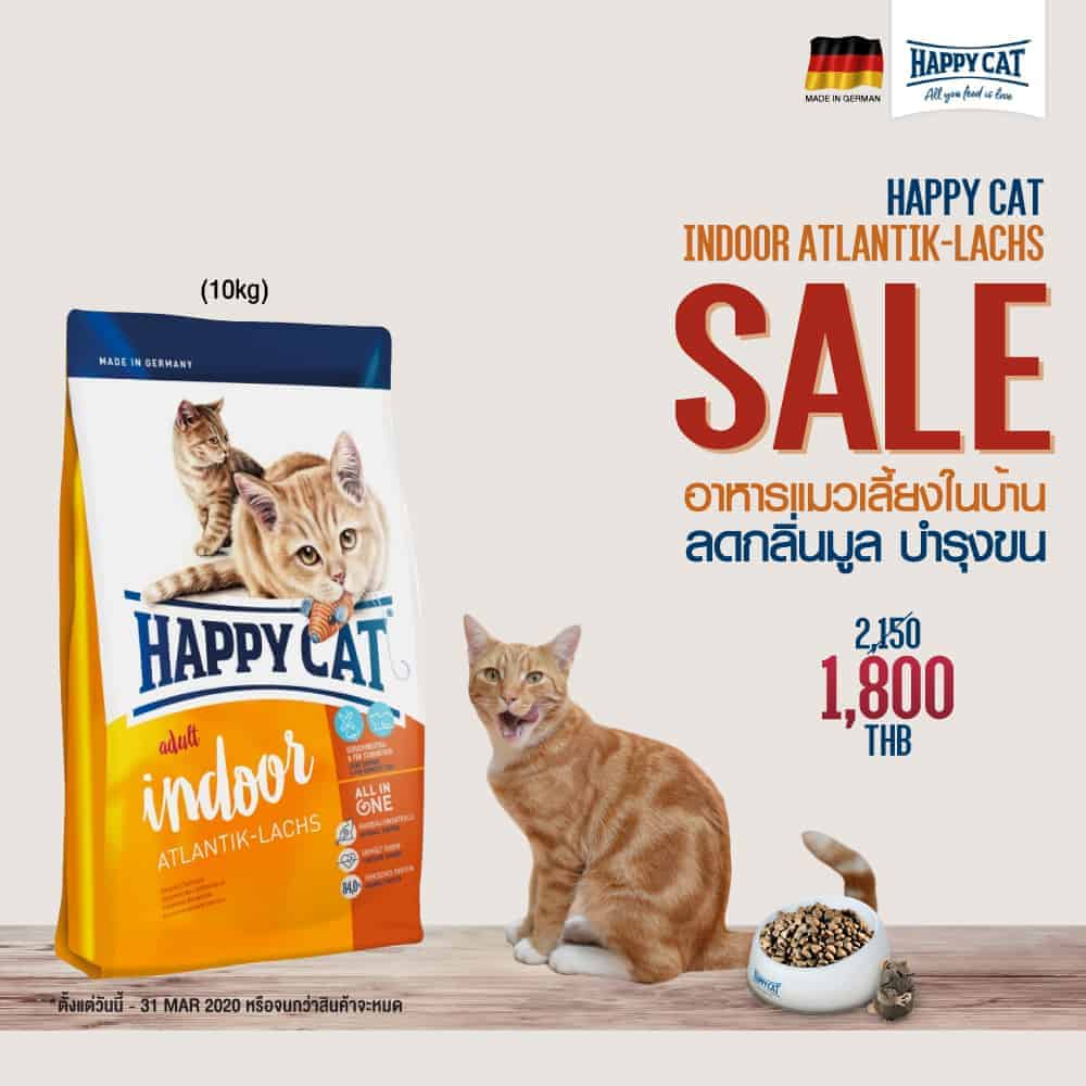 Tailybuddy Pet Shop 6