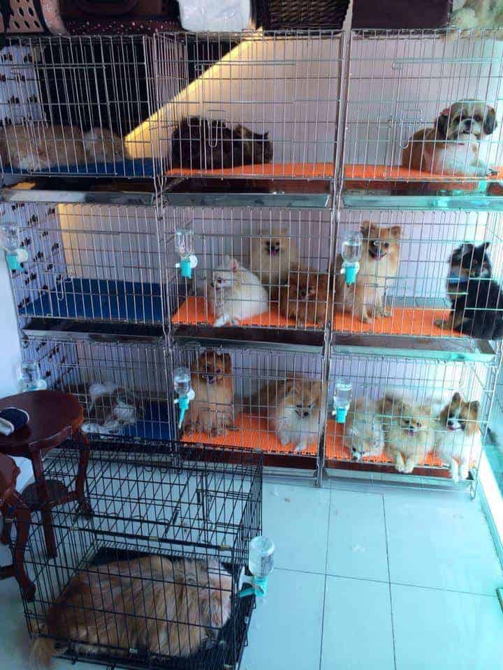 GROOM LOUNGE 2
