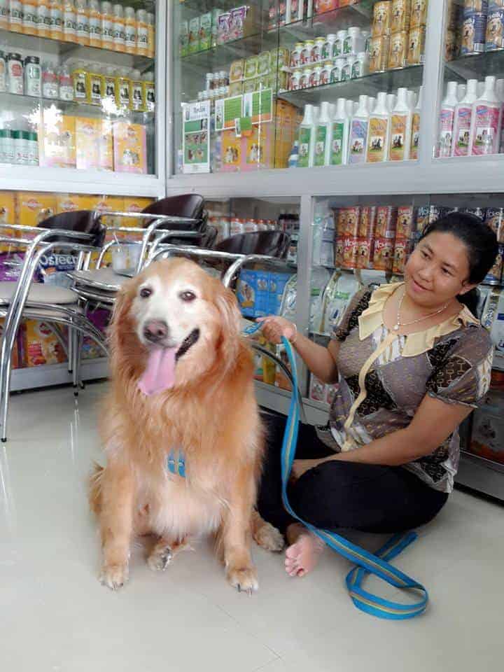 โรงพยาบาลสัตว์ธวัชชัย 2