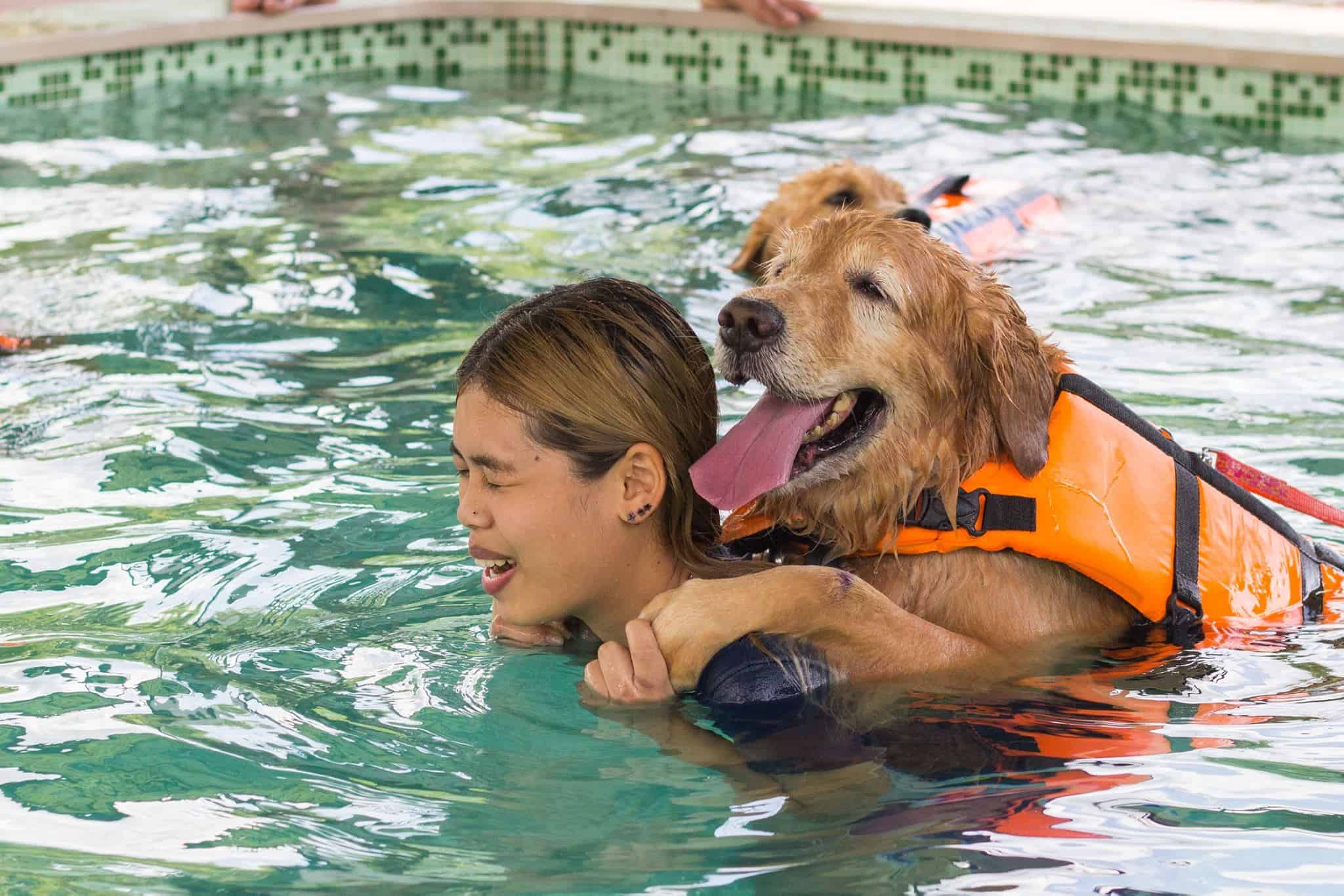 Hot Dog Swimming Pool 4
