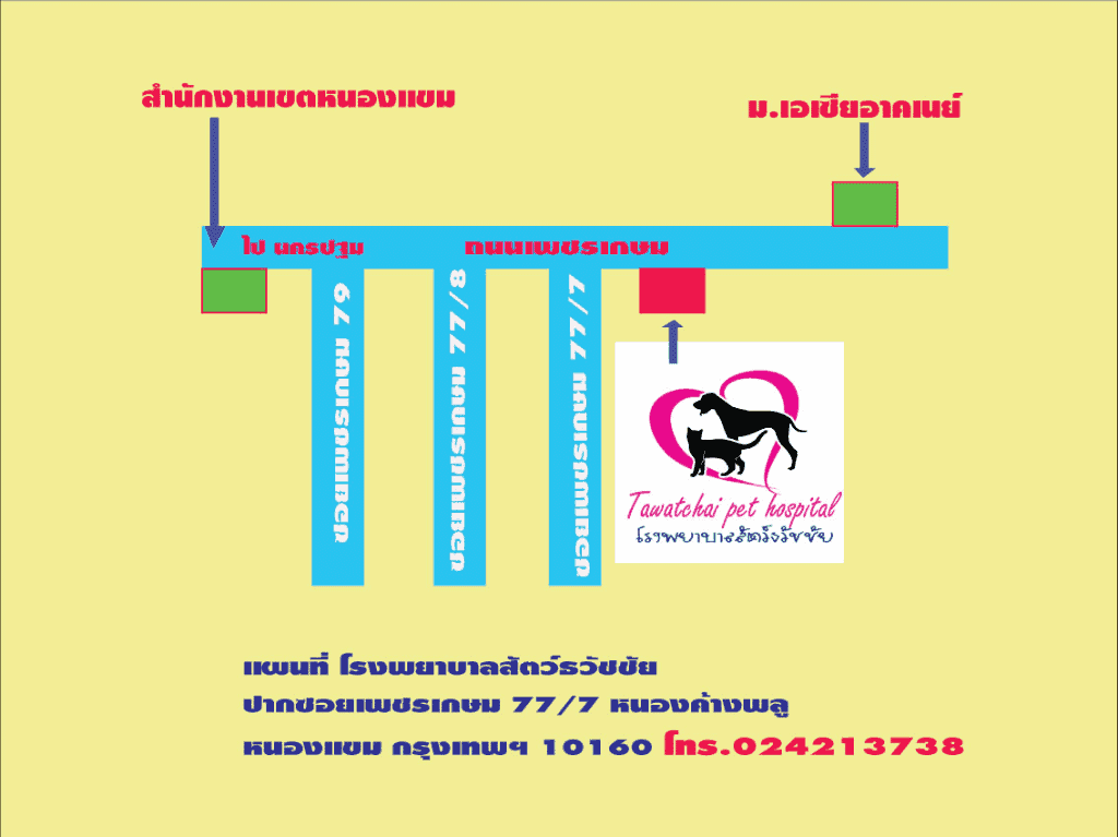 โรงพยาบาลสัตว์ธวัชชัย 4