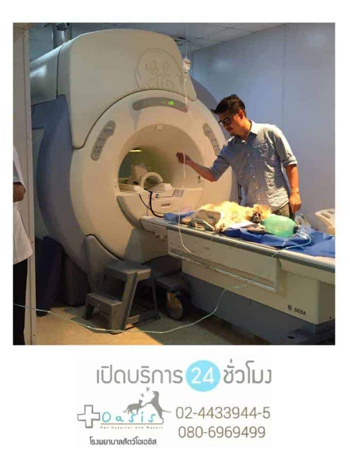 โรงพยาบาลสัตว์โอเอซิส 3