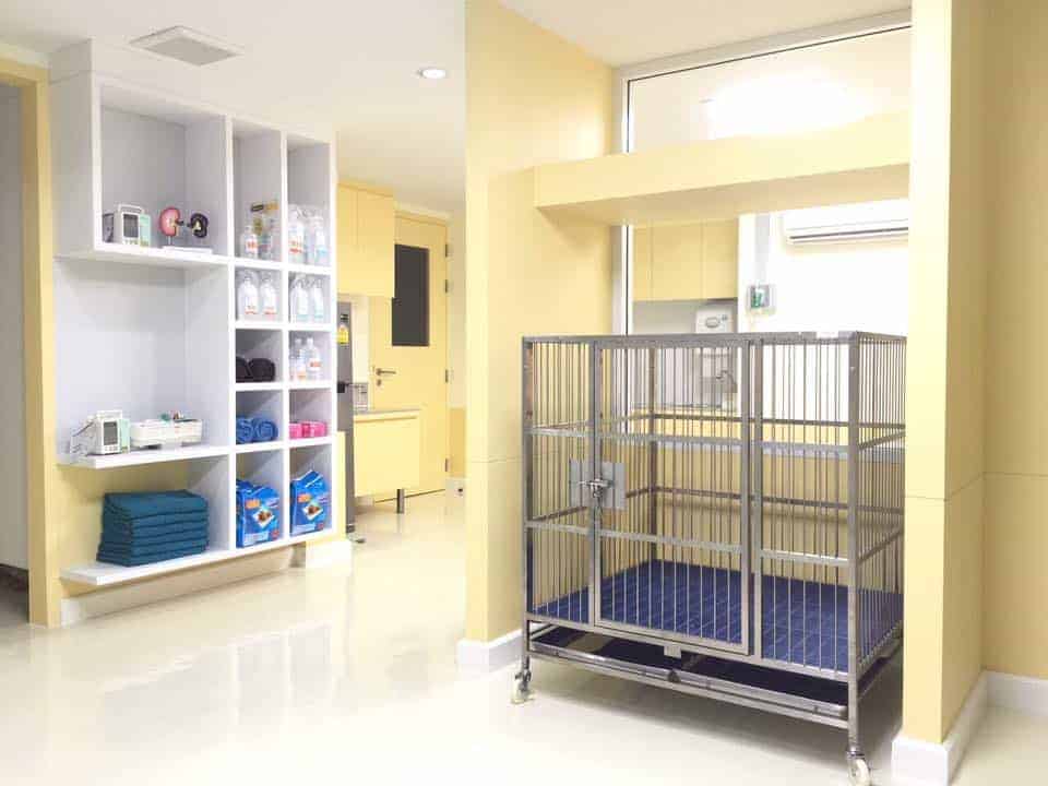 Sriwarakorat โรงพยาบาลสัตว์ศรีวรา (โคราช) 5