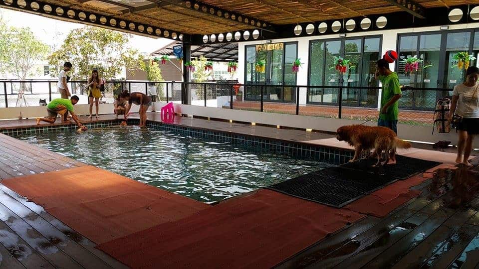 Modog Pet (พระราม 2) 4