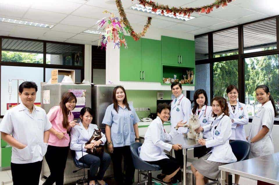โรงพยาบาลสัตว์เกษตร	(โรงพยาบาลสัตว์มหาวิทยาลัยเกษตรศาสตร์ บางเขน) 1