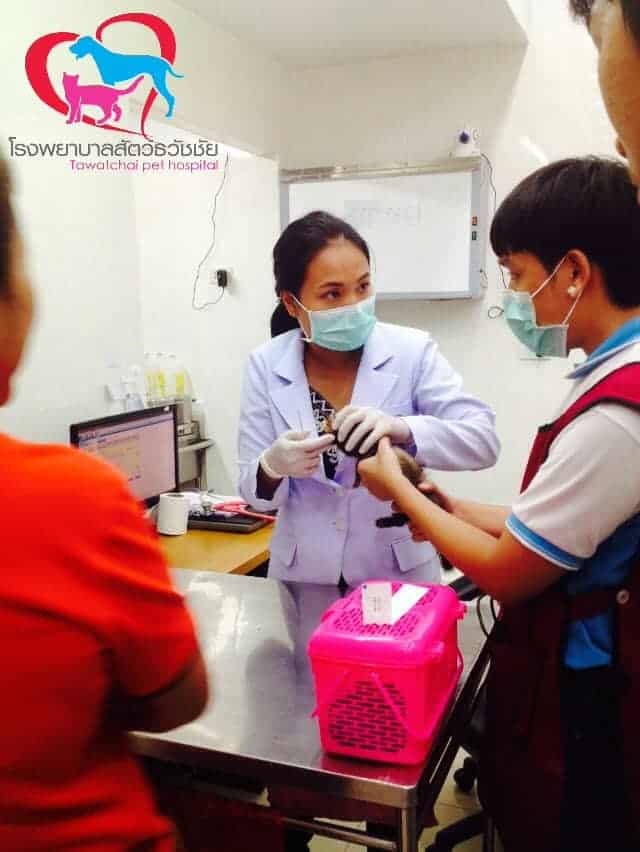 โรงพยาบาลสัตว์ธวัชชัย 6