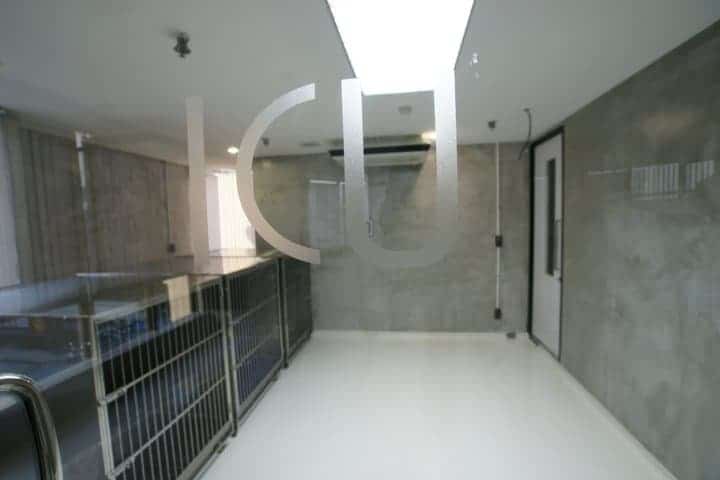 โรงพยาบาลสัตว์โอะไดจินิ (Odaijini Pet Hospital) 3