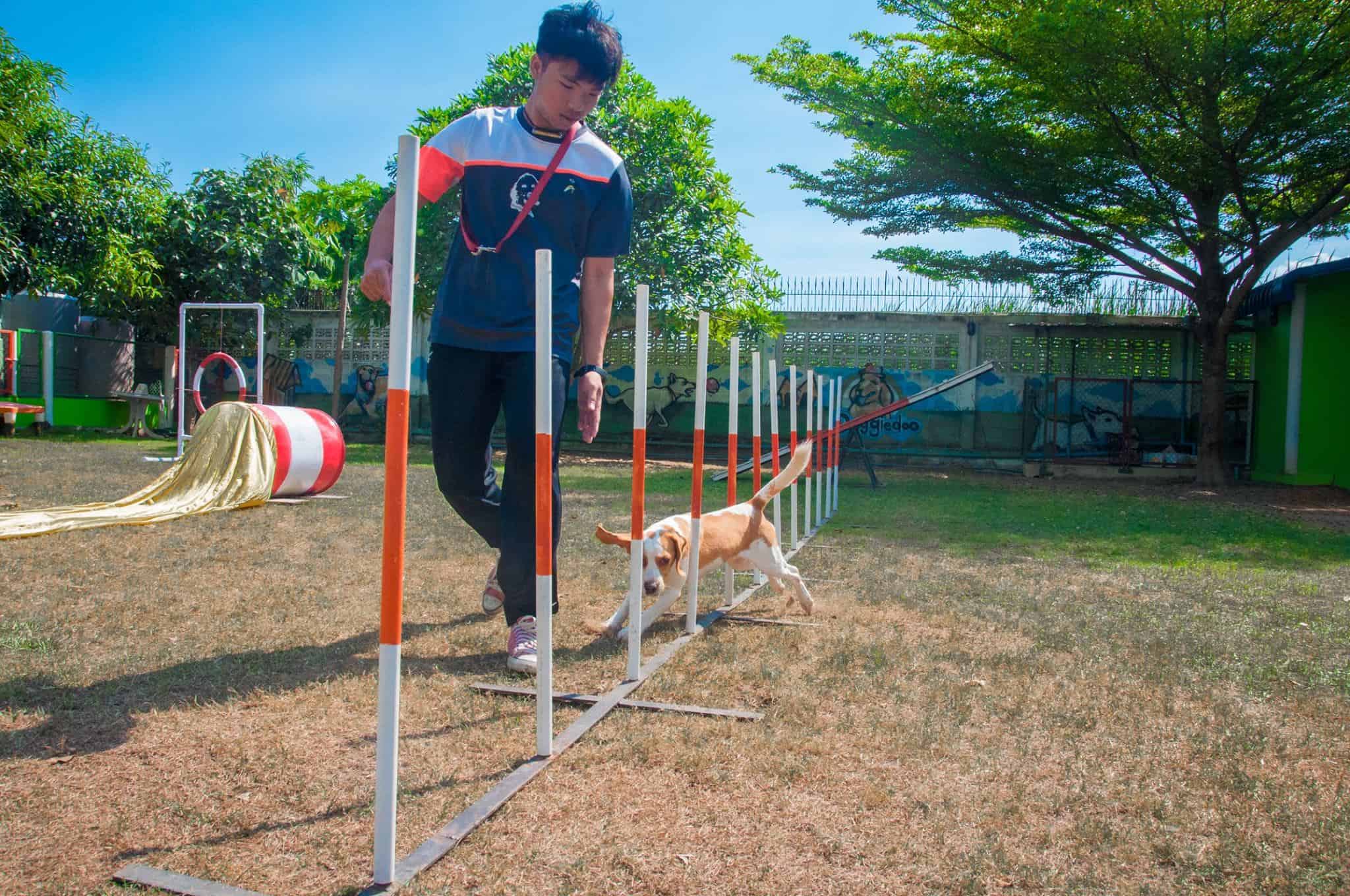 Doggie Doo รังสิต 4