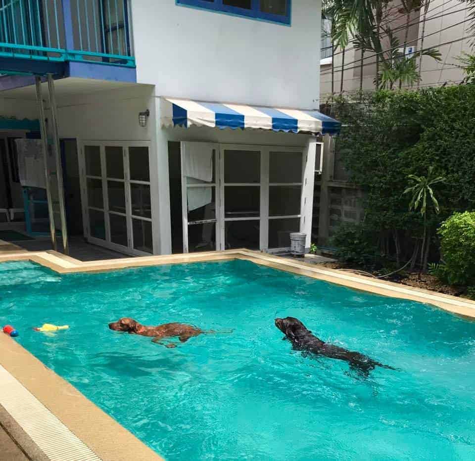 iTube Saline Pool 3