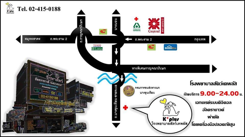 โรงพยาบาลสัตว์เคพลัส K Plus Animal Hospital 9