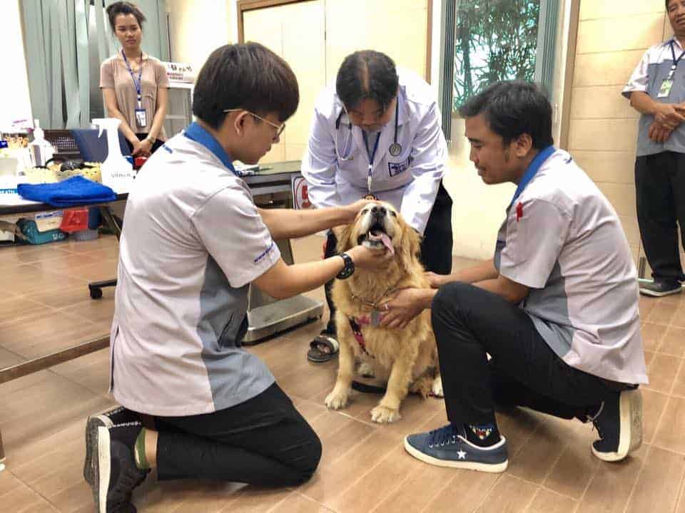 โรงพยาบาลสัตว์สวนหลวงสัตวแพทย์ SLV Pet Hospital 5