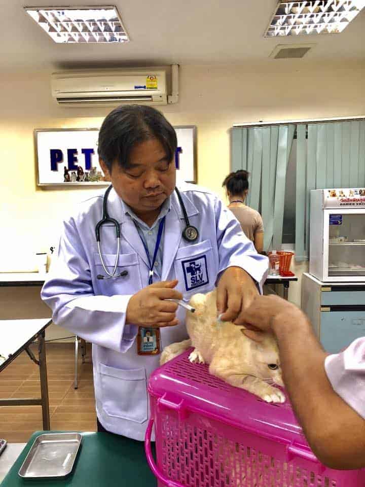 โรงพยาบาลสัตว์สวนหลวงสัตวแพทย์ SLV Pet Hospital 2