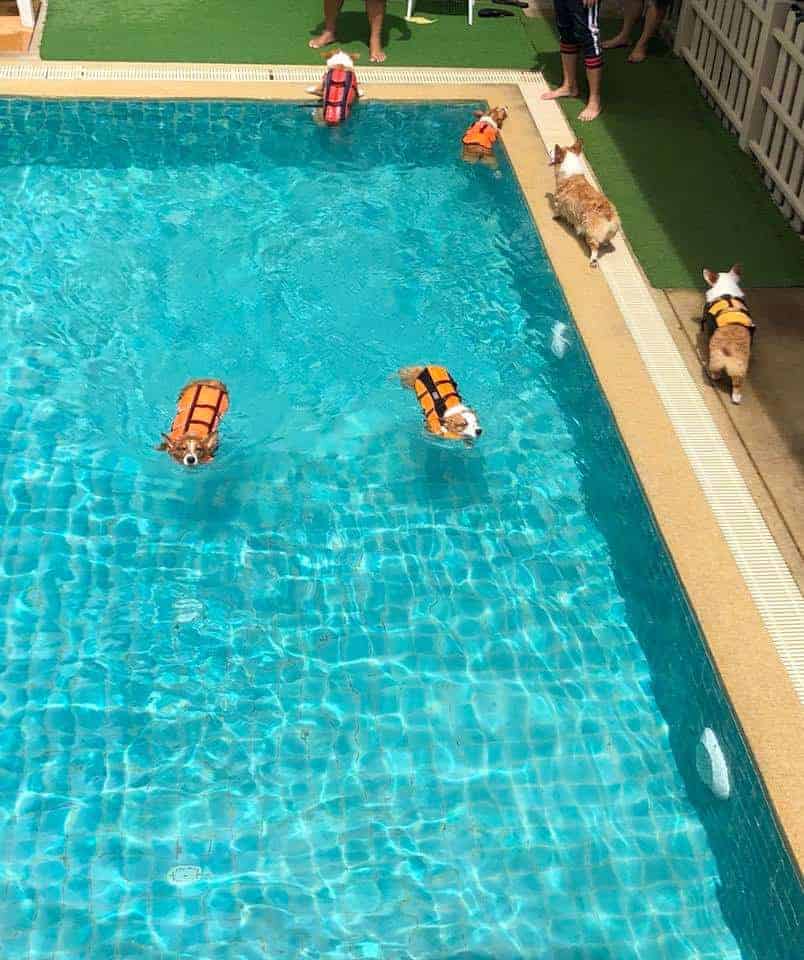 iTube Saline Pool 2