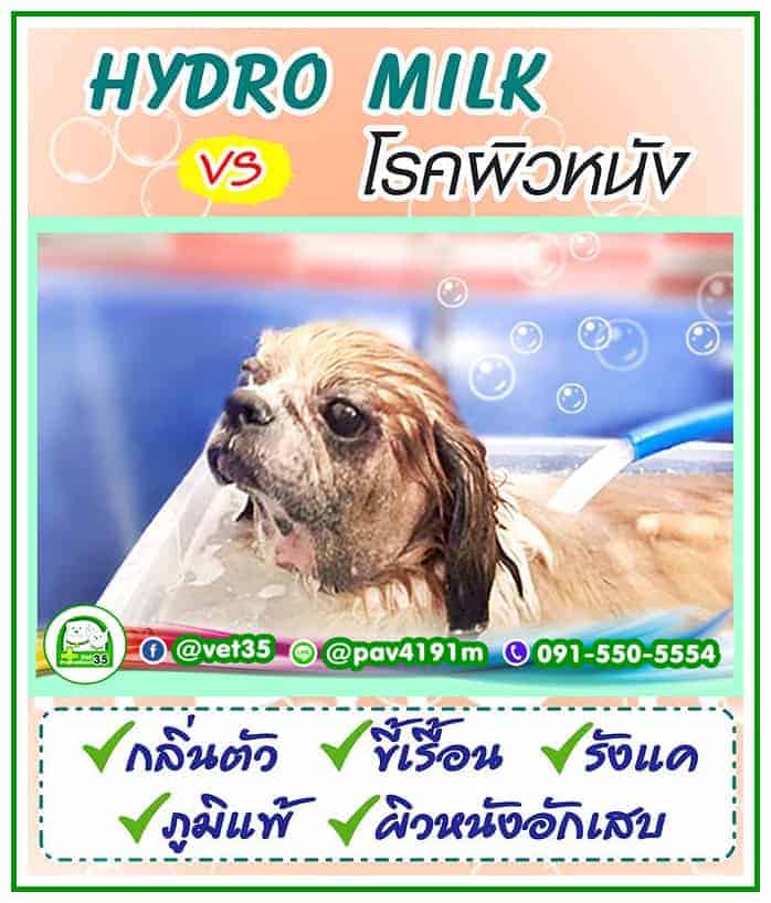 โรงพยาบาลสัตว์ประชาชื่น 35 Vet Prachacheun 35 1