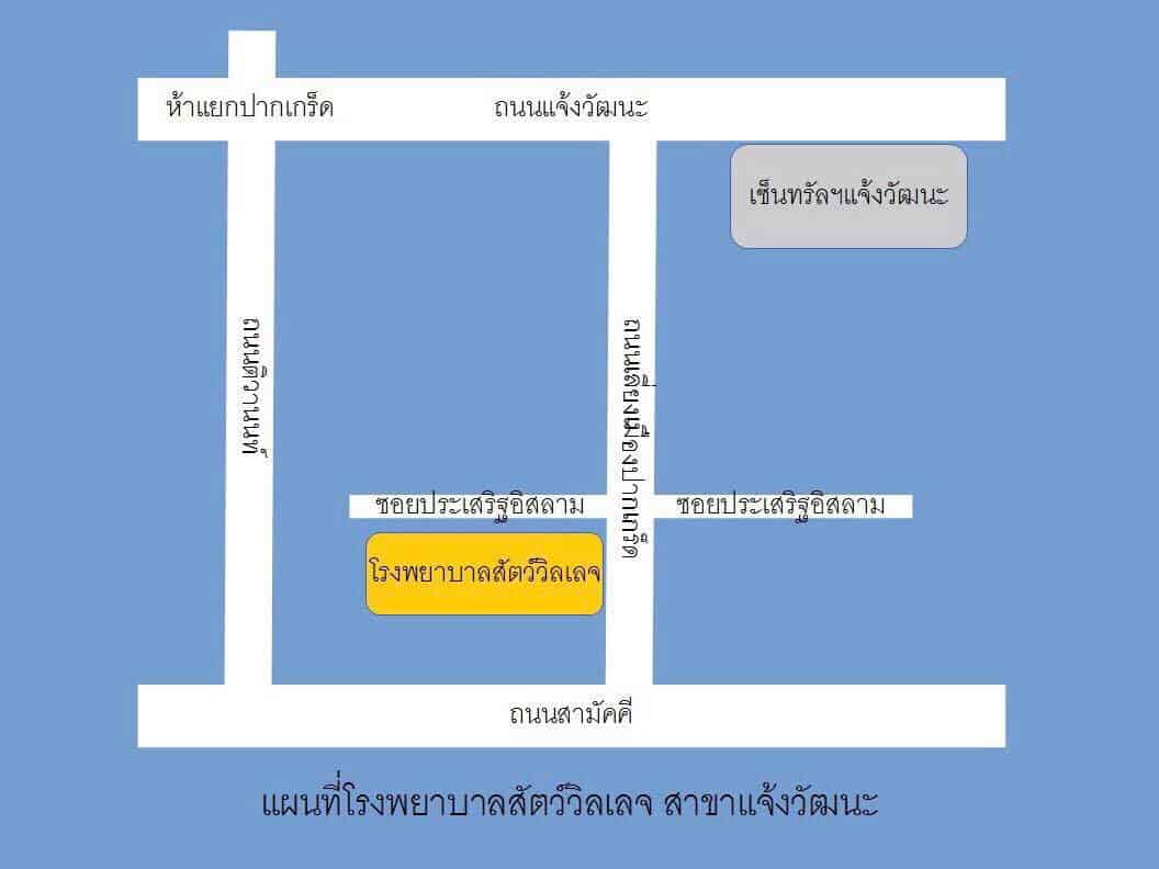 โรงพยาบาลสัตว์วิลเลจ (แจ้งวัฒนะ) 2