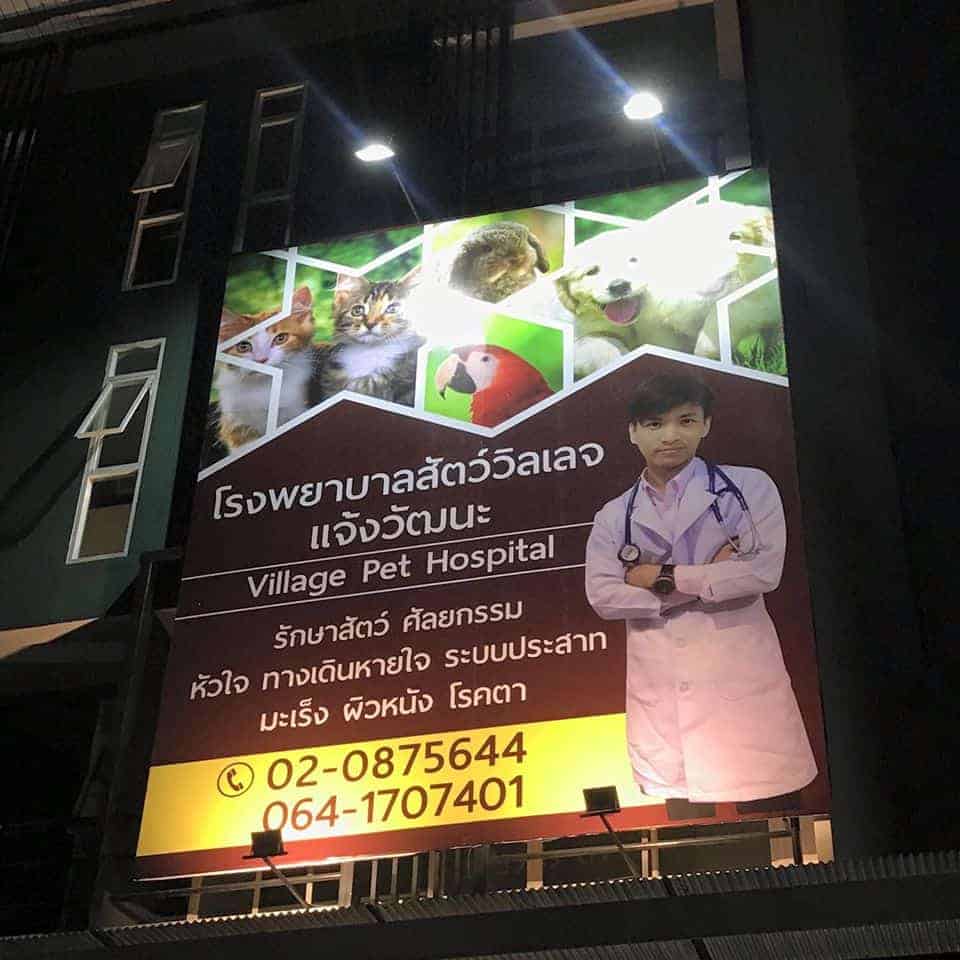 โรงพยาบาลสัตว์วิลเลจ (แจ้งวัฒนะ) 3