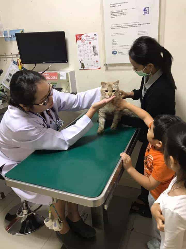 โรงพยาบาลสัตว์สวนหลวงสัตวแพทย์ SLV Pet Hospital 4