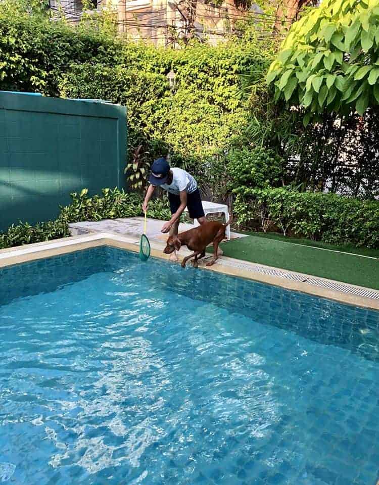 iTube Saline Pool 4