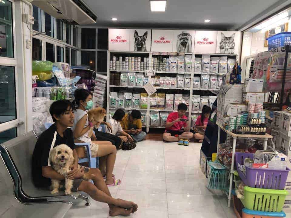 โรงพยาบาลสัตว์สัตวแพทย์แสนสุข 4