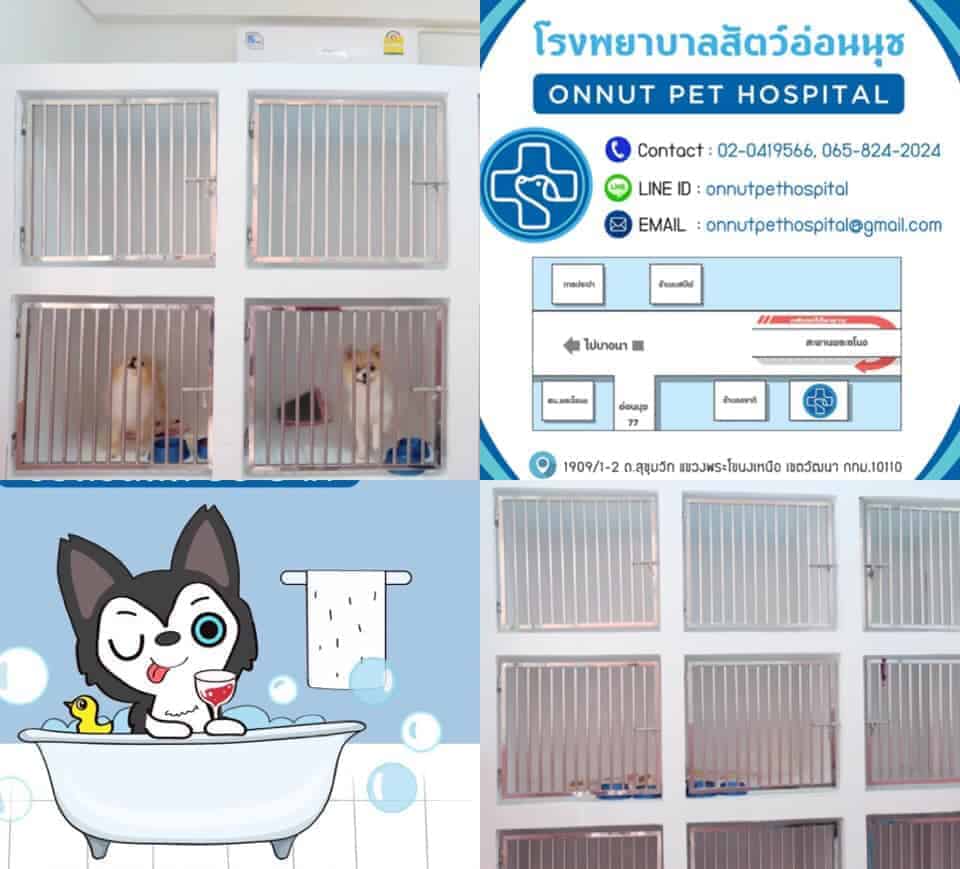โรงพยาบาลสัตว์อ่อนนุช 2