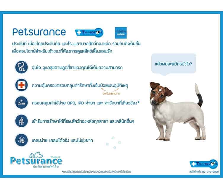 โรงพยาบาลสัตว์ทองหล่อ ระยอง Thonglor Pet Hospital Rayong 2