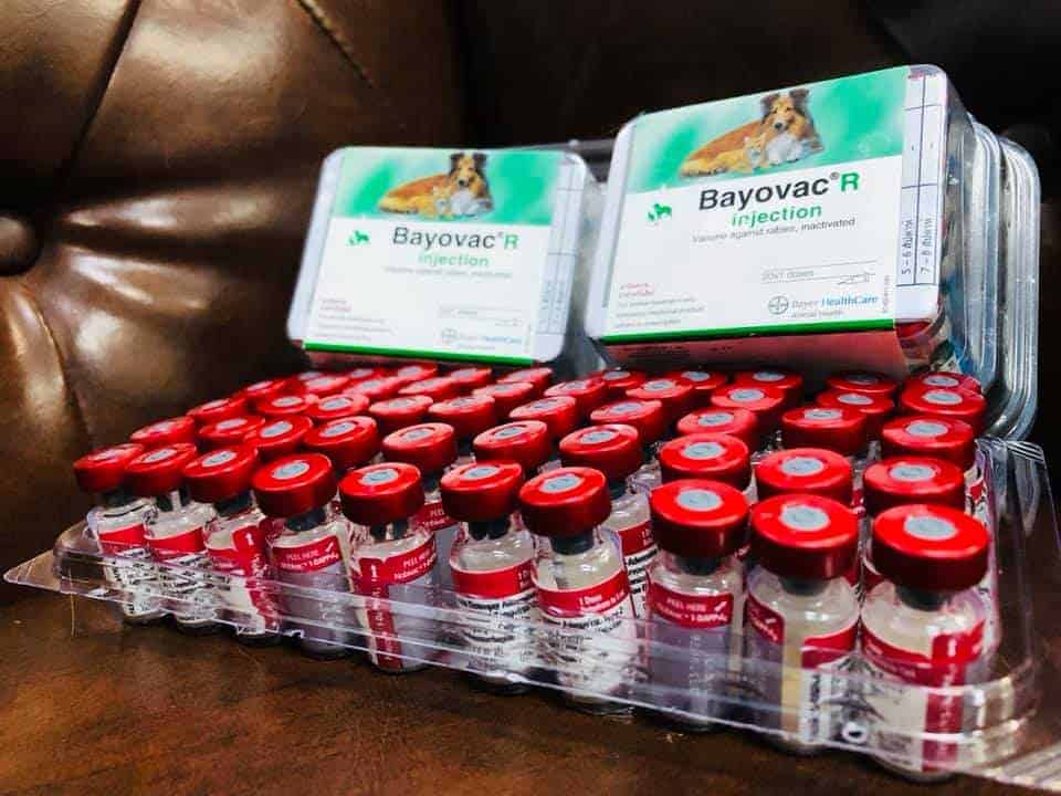โรงพยาบาลสัตว์สัตวแพทย์แสนสุข 8