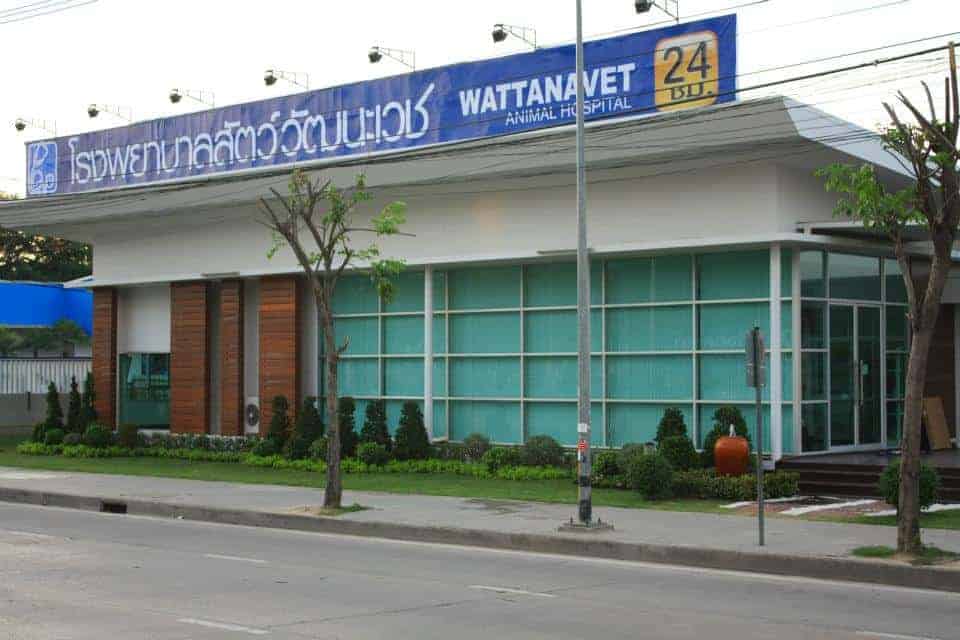 โรงพยาบาลสัตว์วัฒนะเวช 2