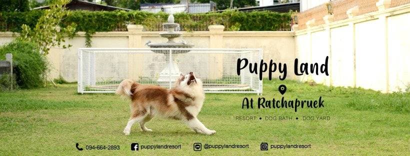 Puppy Land Resort 8