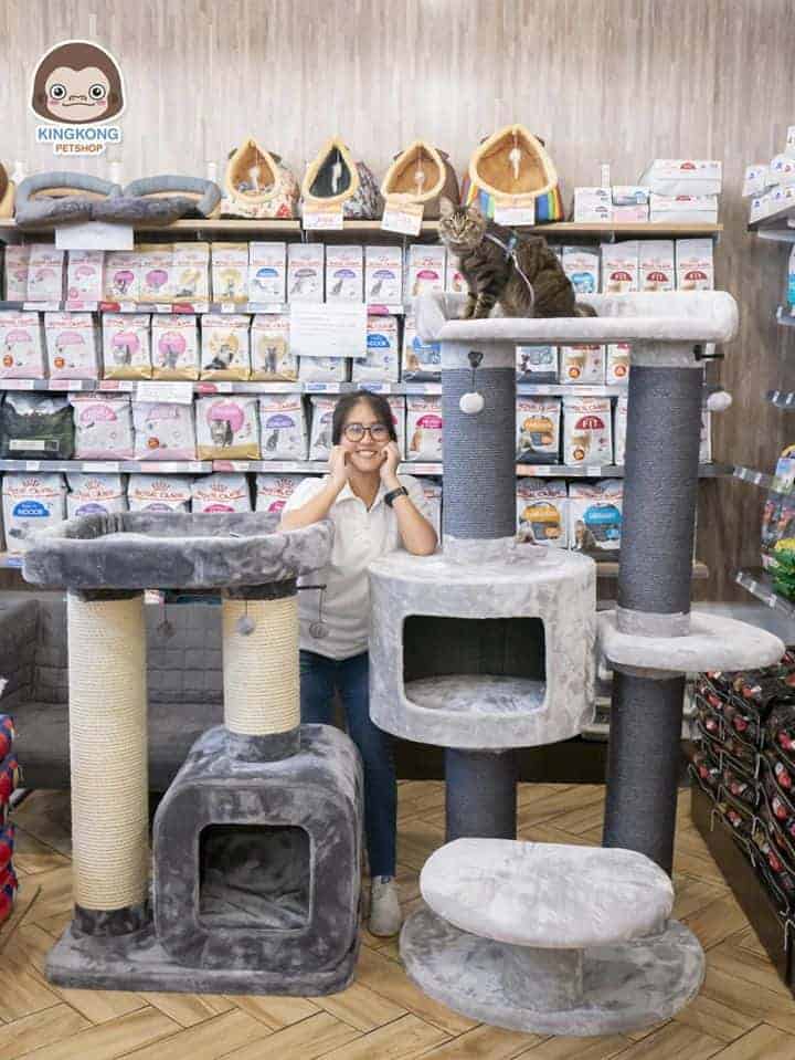 คิงคองเพ็ทช็อป สาขาสุขุมวิท 26 2