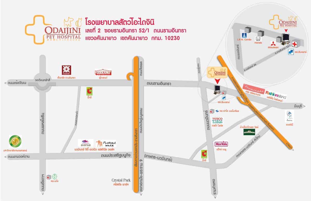 โรงพยาบาลสัตว์โอะไดจินิ (Odaijini Pet Hospital) 2