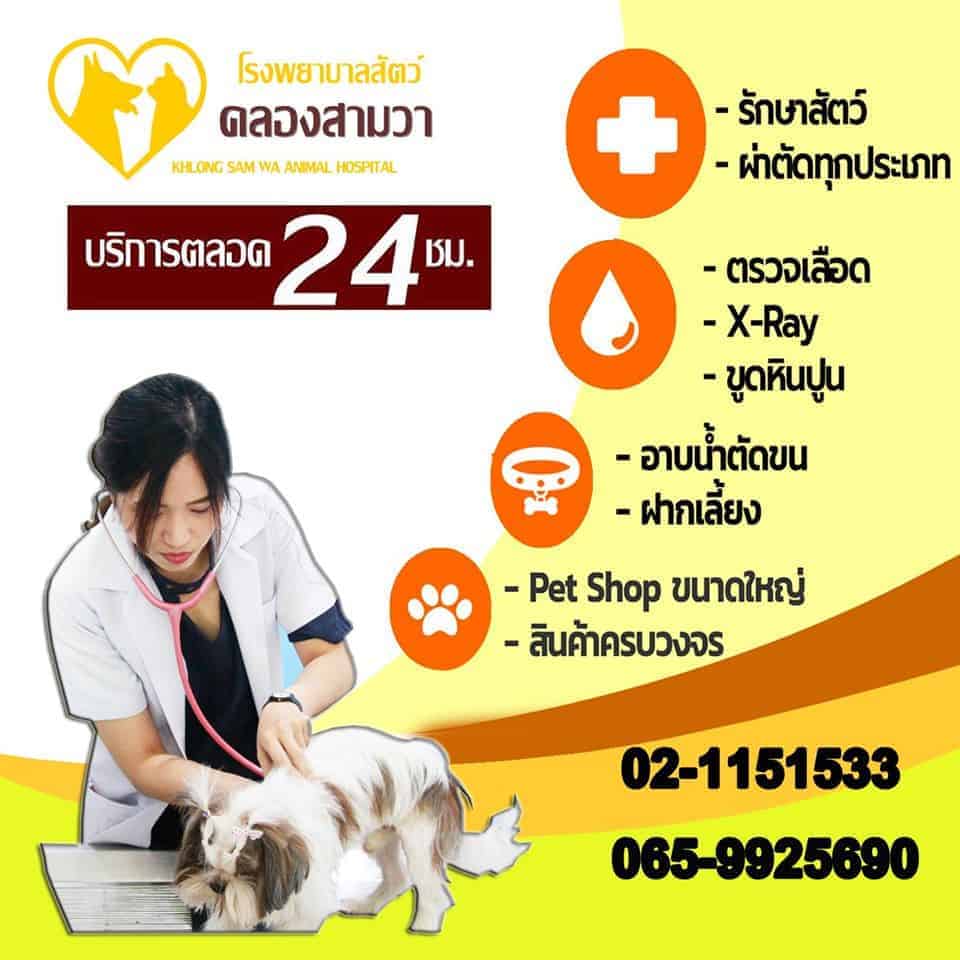 โรงพยาบาลสัตว์คลองสามวา 2