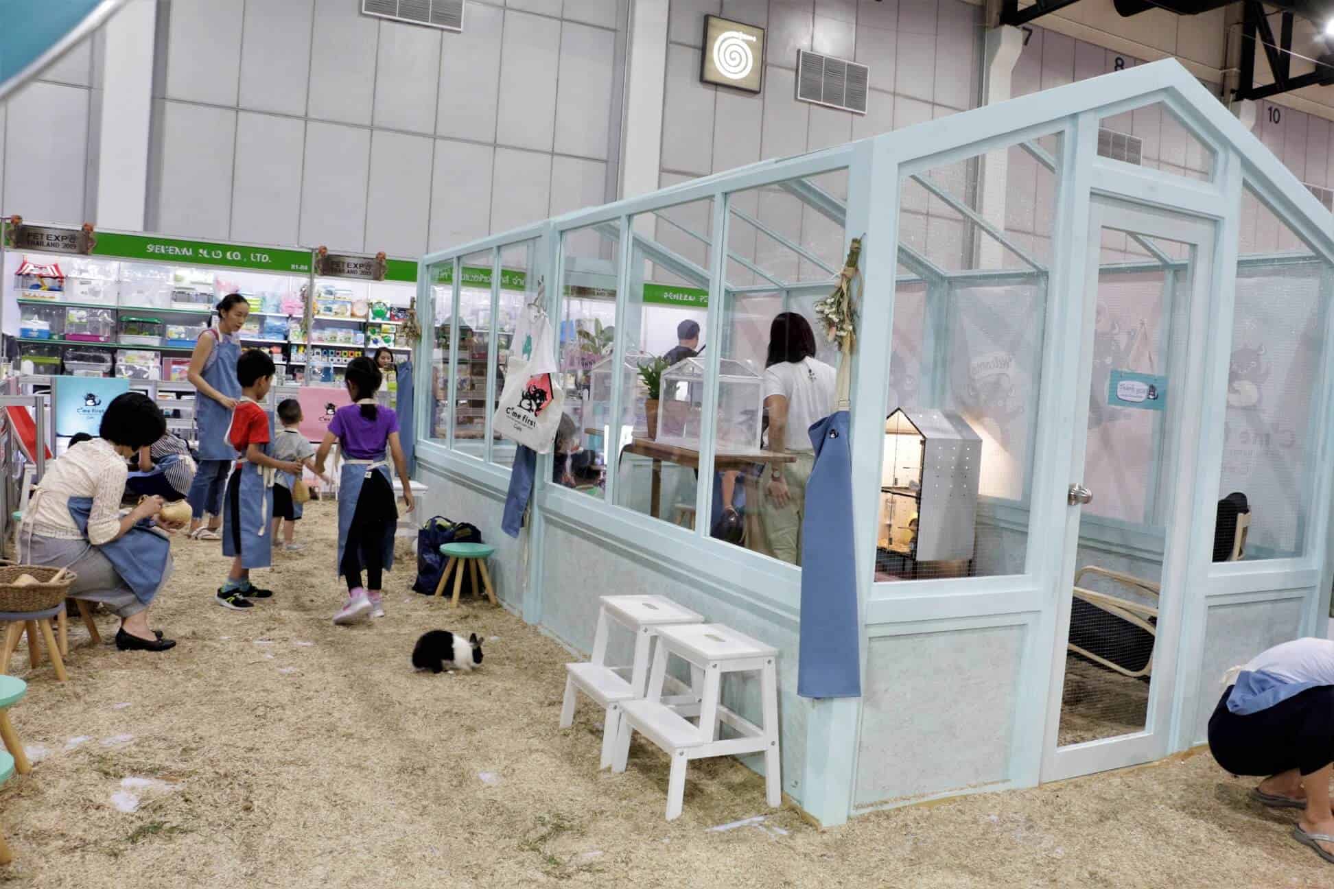 68644701_2638087982888201_3223037041960812544_o Pet Expo Thailand 2020 (เลื่อนจัด) 3