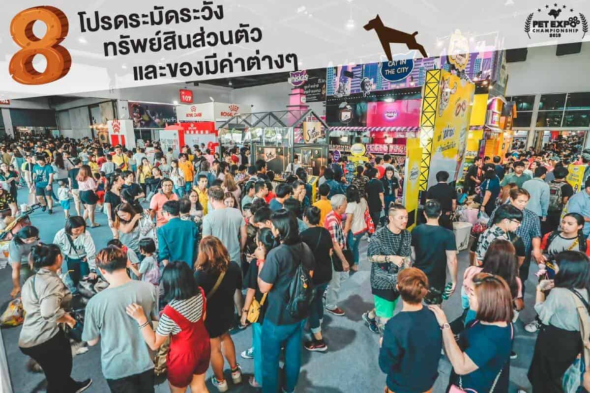 68712066_2671429229554076_4433030986824941568_o Pet Expo Thailand 2020 (เลื่อนจัด) 4