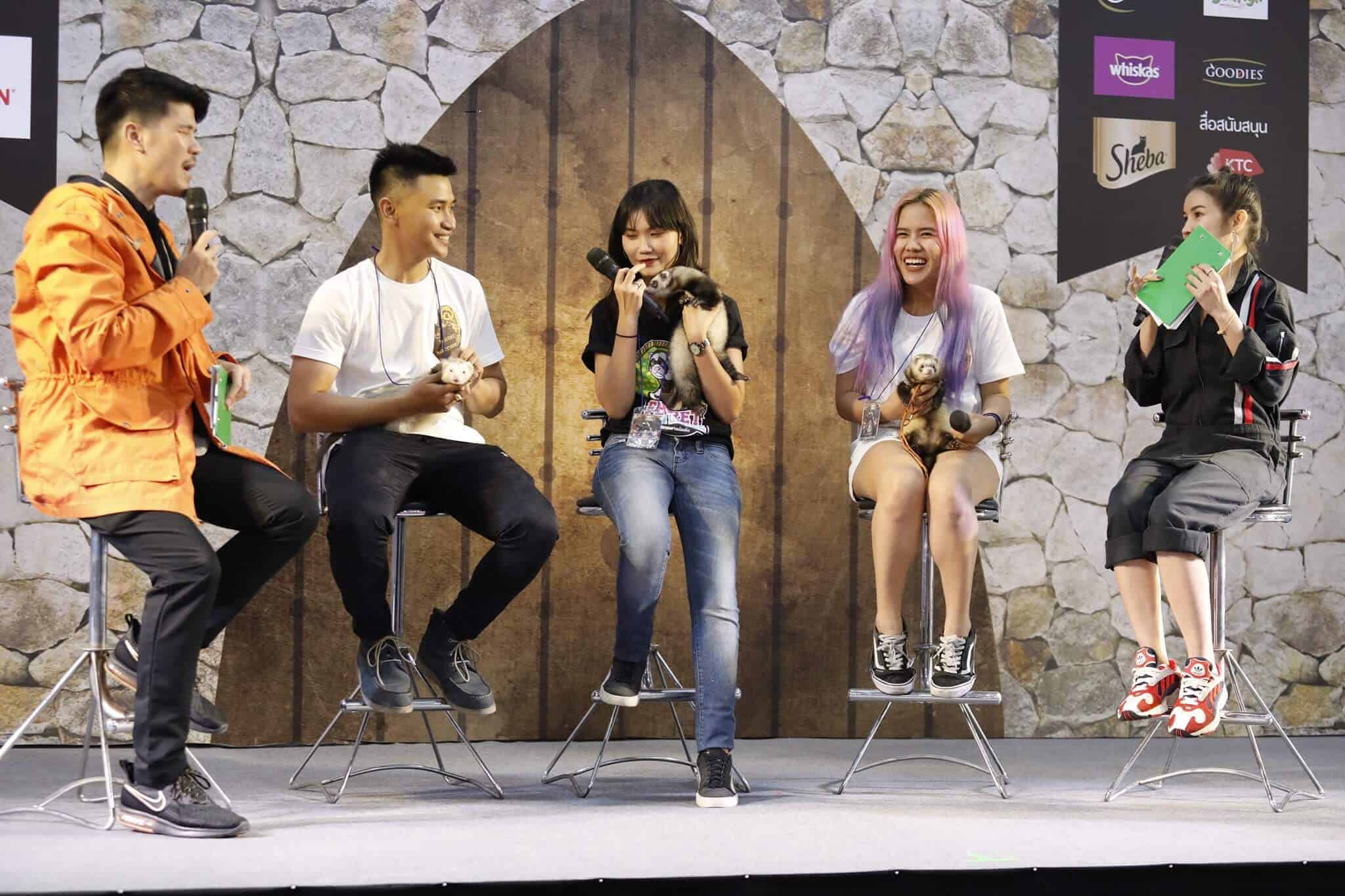 68728389_2671126089584390_7344522504272084992_o Pet Expo Thailand 2020 (เลื่อนจัด) 5