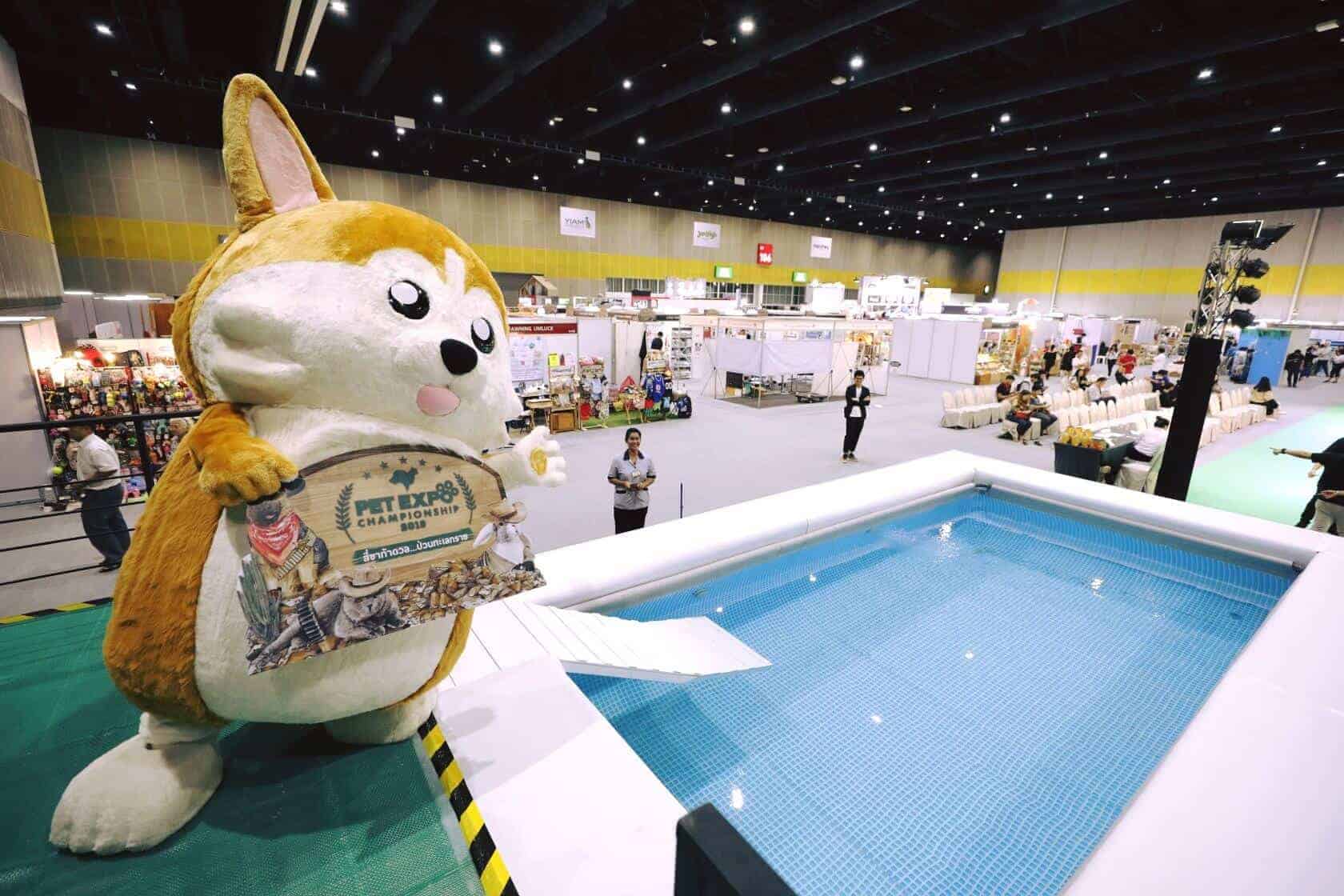 69215362_2686368344726831_5353889833561358336_o Pet Expo Thailand 2020 (เลื่อนจัด) 6
