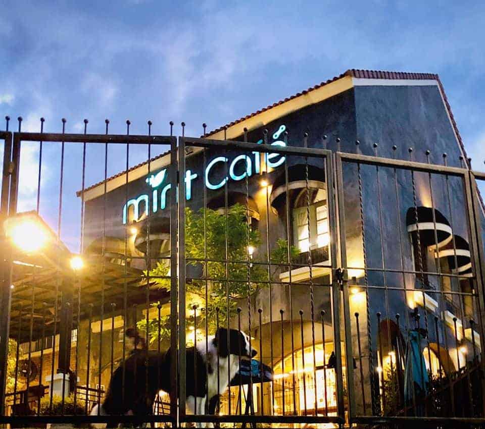 Mint Dog Yard ใน Mint Cafe มินท์คาเฟ่ (ลาดพร้าว) 8