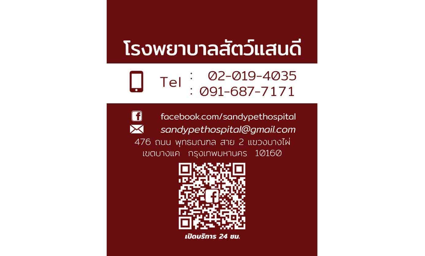 โรงพยาบาลสัตว์แสนดี 4
