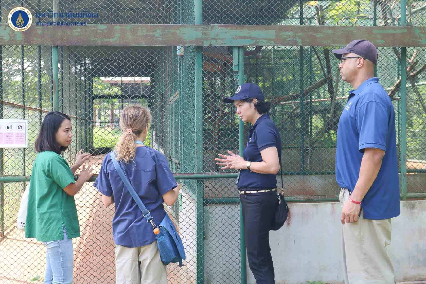 โรงพยาบาลสัตว์มหิดล	MU Vet Sci โรงพยาบาลสัตว์ประศุอาทร คณะสัตวแพทยศาสตร์ มหาวิทยาลัยมหิดล 1
