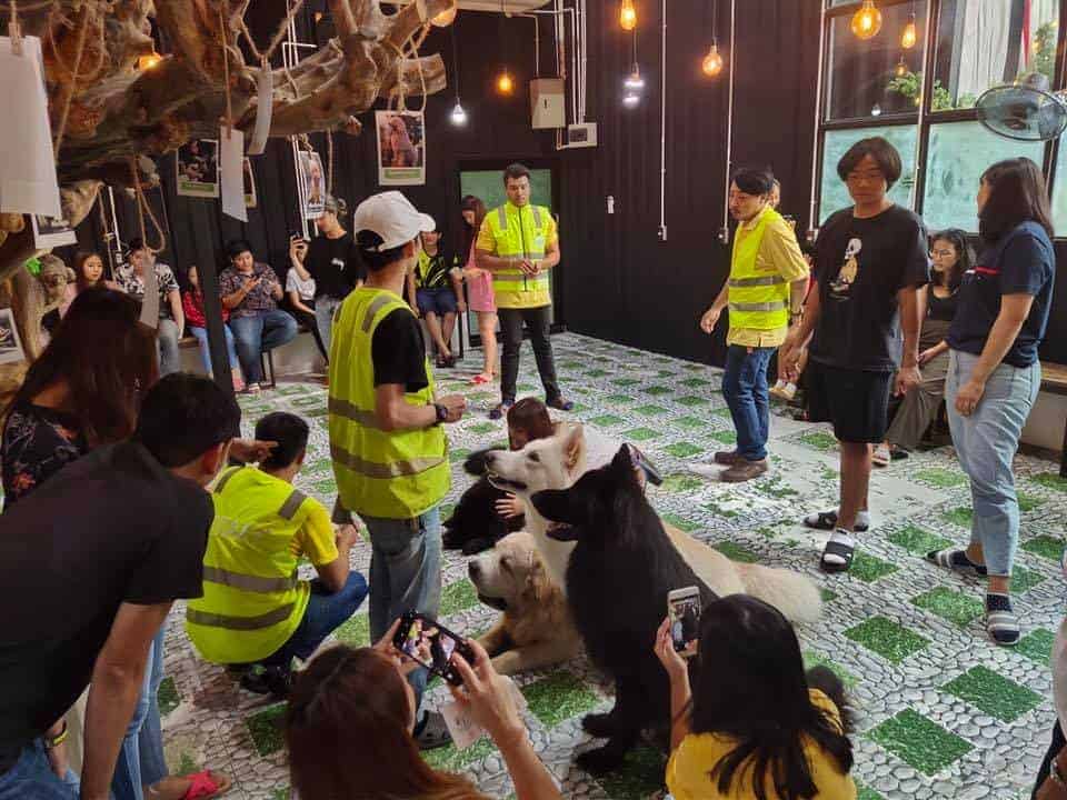 Big Dog Cafe 3