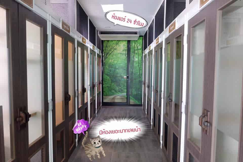 โรงพยาบาลสัตว์รัตนาธิเบศร์ (บางบัวทอง) RTB Referral Animal Hospital (Bangbuathong) 4