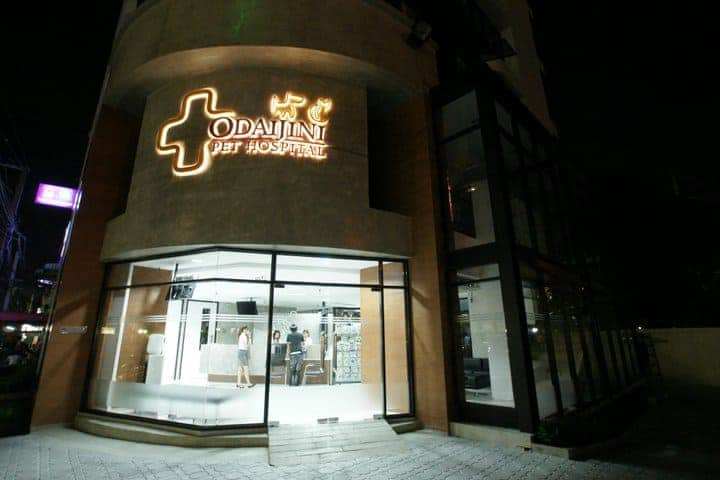 โรงพยาบาลสัตว์โอะไดจินิ (Odaijini Pet Hospital) 1
