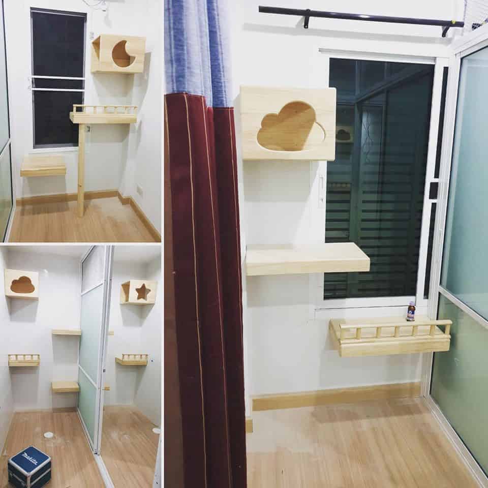 โรงแรมแมว Infinite Cat hotel รับฝากเลี้ยงแมว 5