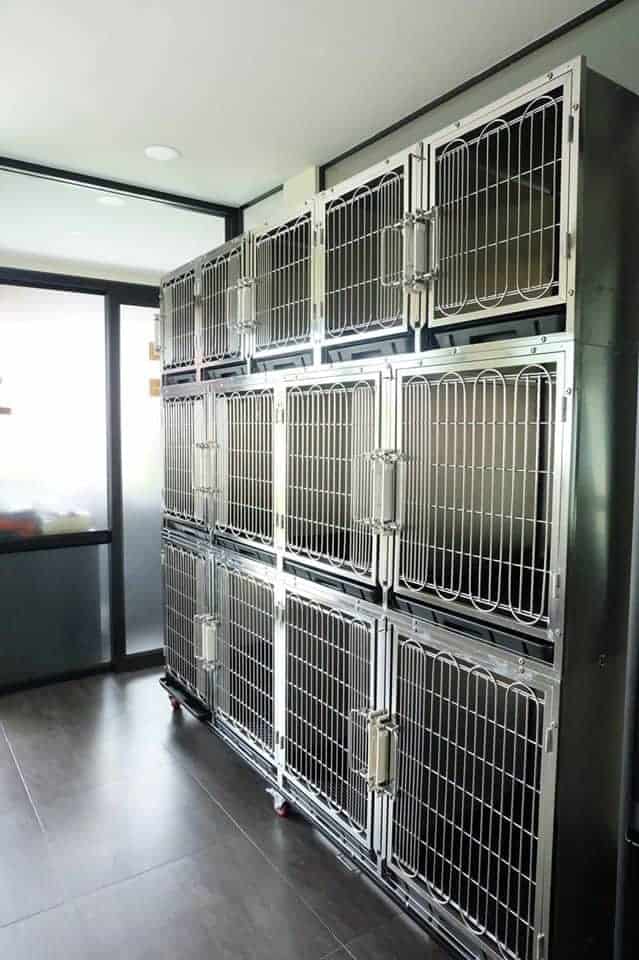 โรงพยาบาลสัตว์รัตนาธิเบศร์ (Pet Clinic) RTB Referral Animal Hospital (Pet Clinic) 2