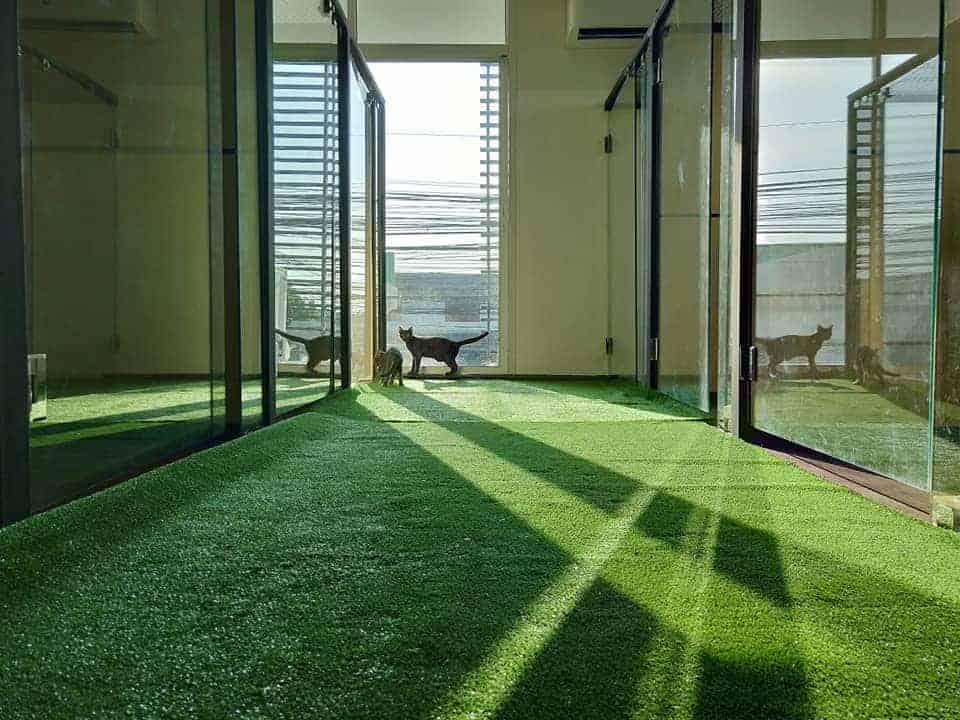 โรงพยาบาลสัตว์คลองสามวา 7
