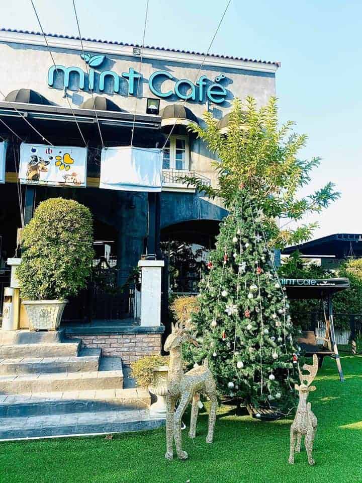 Mint Dog Yard ใน Mint Cafe มินท์คาเฟ่ (ลาดพร้าว) 3