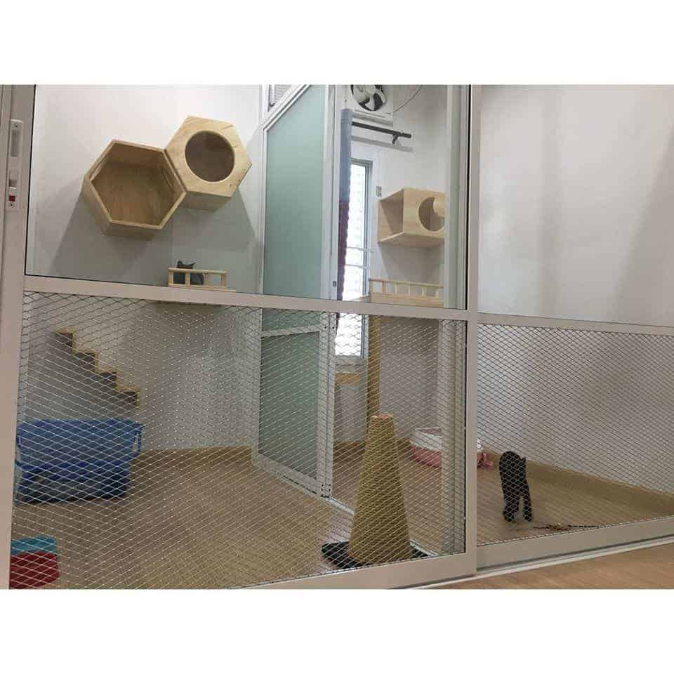 โรงแรมแมว Infinite Cat hotel รับฝากเลี้ยงแมว 6