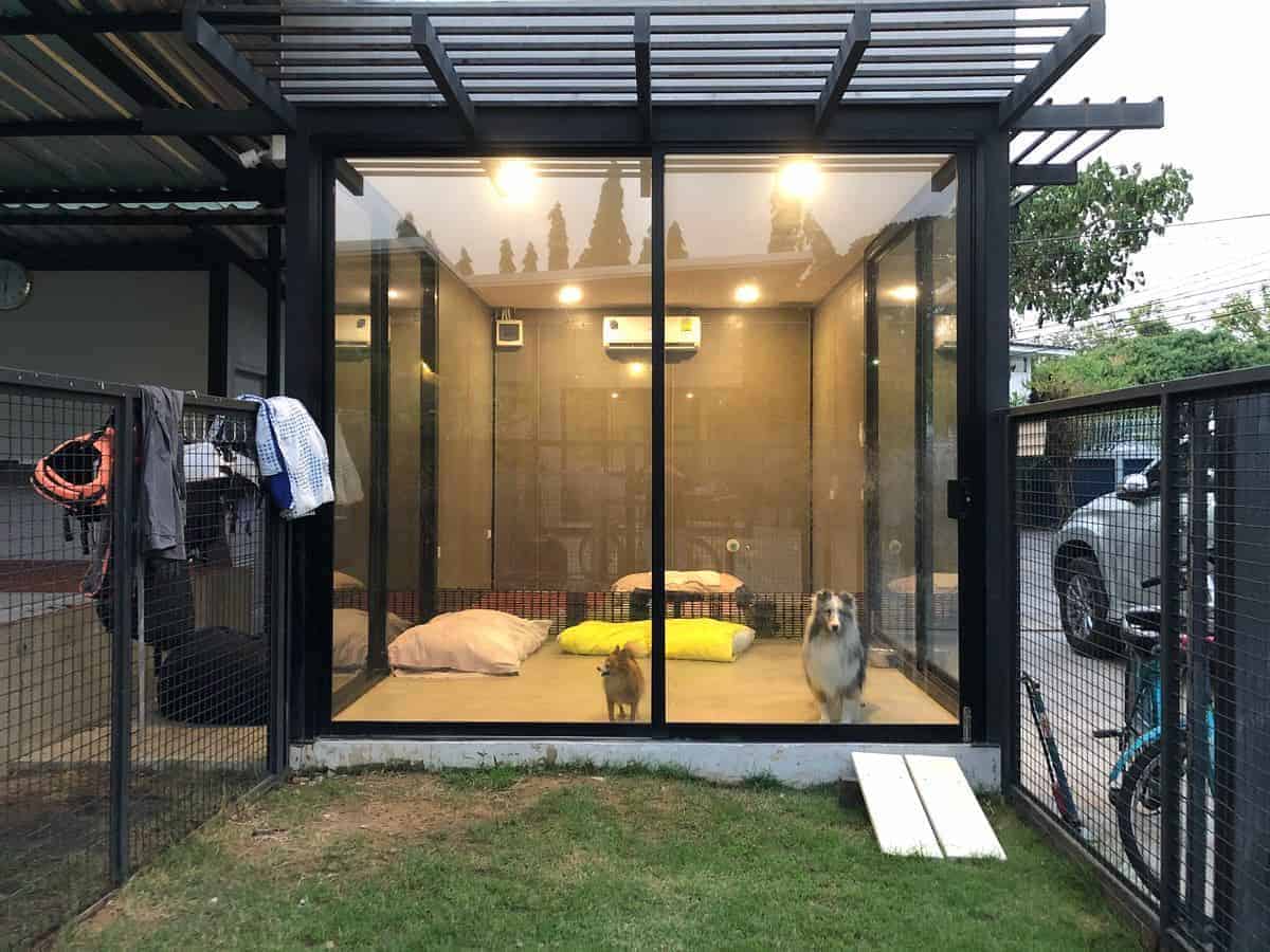 Puenpet Dog Hotel 5